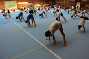 IMG 0618